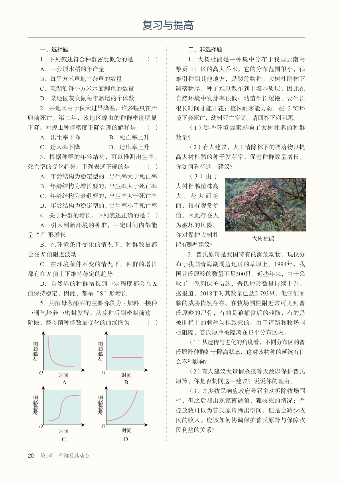 novel_c0e00c6239a0.jpg