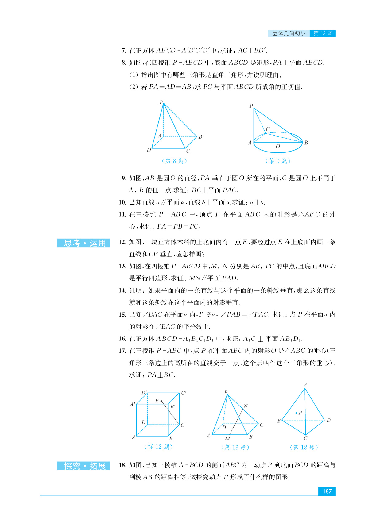 novel_4f09365e55b7.jpg
