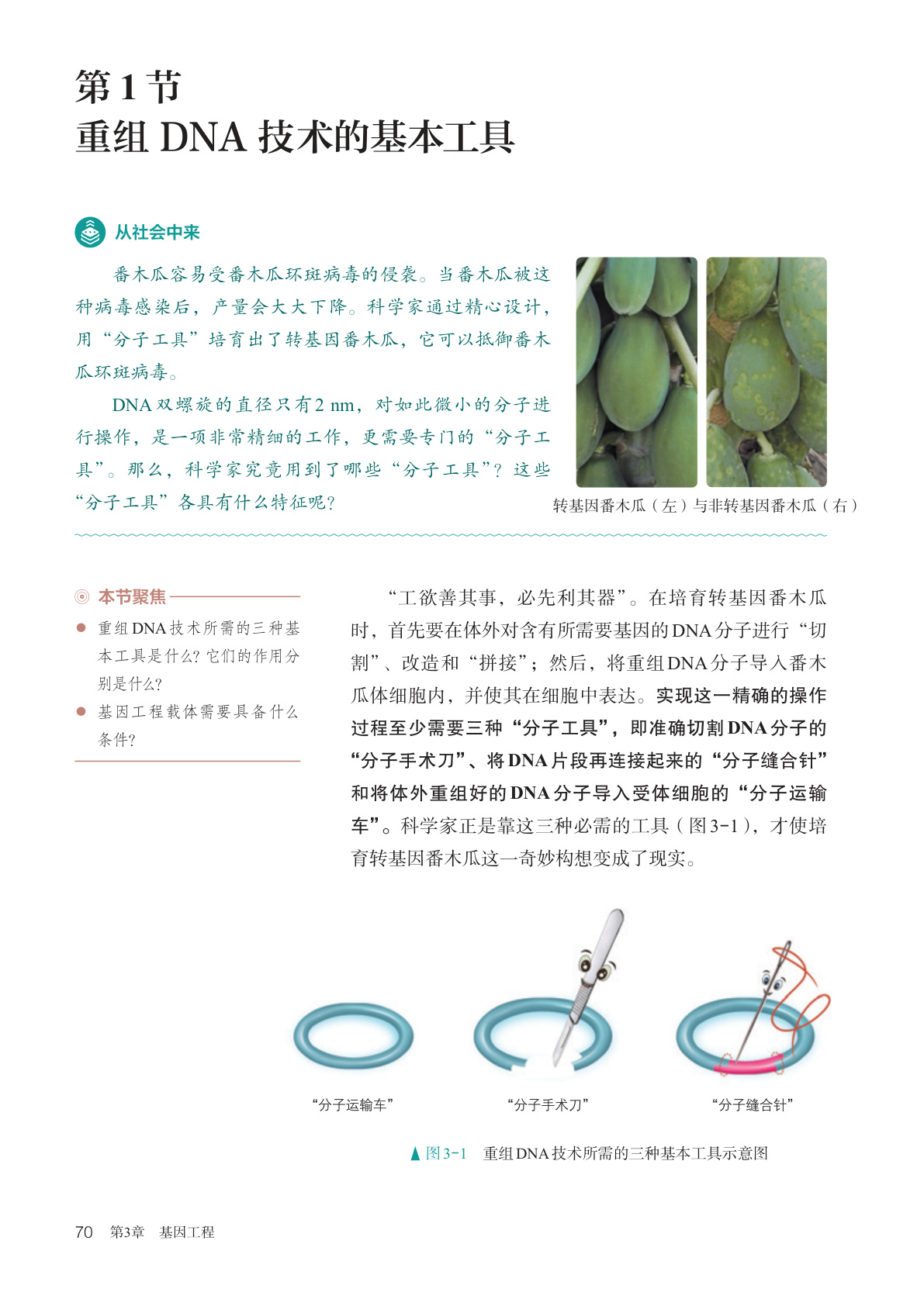 novel_041053ad3de3.jpg